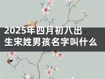 2025年四月初八出生宋姓男孩名字叫什么