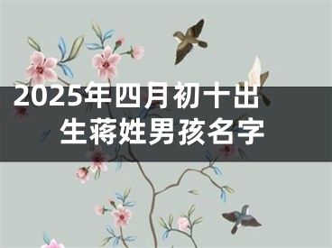 2025年四月初十出生蒋姓男孩名字