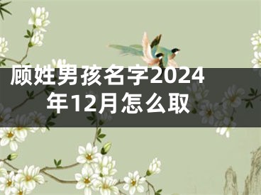 顾姓男孩名字2024年12月怎么取