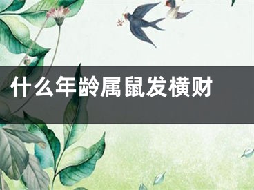 什么年龄属鼠发横财 