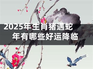 2025年生肖猪遇蛇年有哪些好运降临