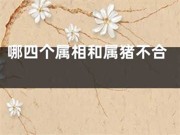 哪四个属相和属猪不合 