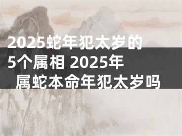 2025蛇年犯太岁的5个属相 2025年属蛇本命年犯太岁吗