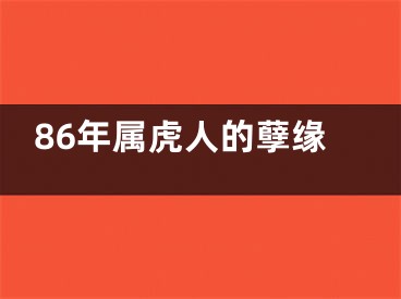 86年属虎人的孽缘