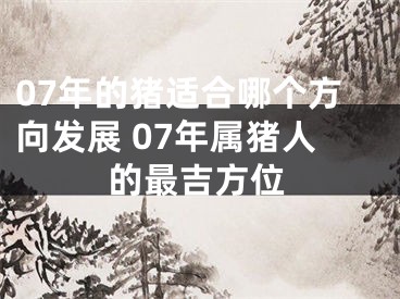 07年的猪适合哪个方向发展 07年属猪人的最吉方位
