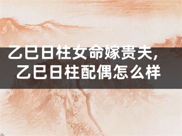 乙巳日柱女命嫁贵夫,乙巳日柱配偶怎么样