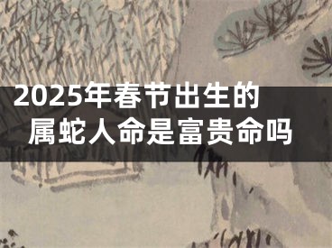 2025年春节出生的属蛇人命是富贵命吗