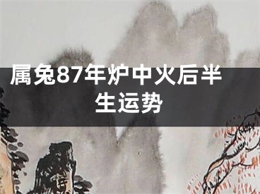 属兔87年炉中火后半生运势