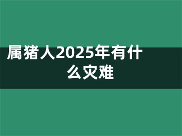 属猪人2025年有什么灾难