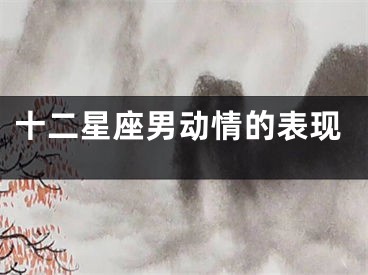 十二星座男动情的表现
