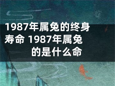 1987年属兔的终身寿命 1987年属兔的是什么命