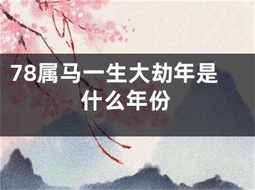 78属马一生大劫年是什么年份