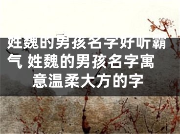 姓魏的男孩名字好听霸气 姓魏的男孩名字寓意温柔大方的字