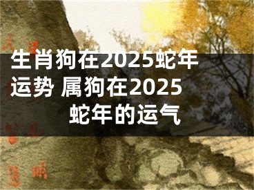 生肖狗在2025蛇年运势 属狗在2025蛇年的运气