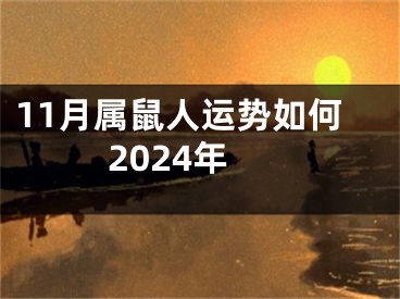 11月属鼠人运势如何2024年