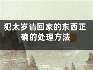 犯太岁请回家的东西正确的处理方法