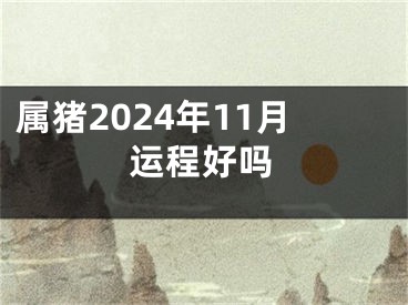 属猪2024年11月运程好吗