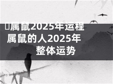​属鼠2025年运程 属鼠的人2025年整体运势