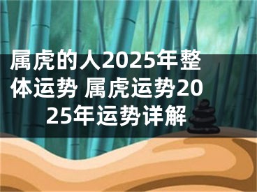 属虎的人2025年整体运势 属虎运势2025年运势详解