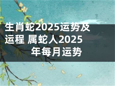 生肖蛇2025运势及运程 属蛇人2025年每月运势