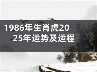1986年生肖虎2025年运势及运程