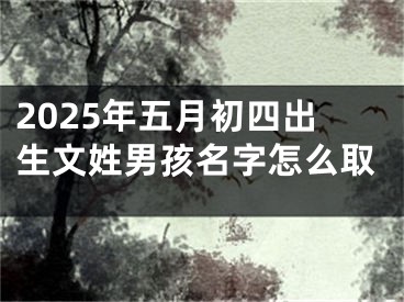 2025年五月初四出生文姓男孩名字怎么取