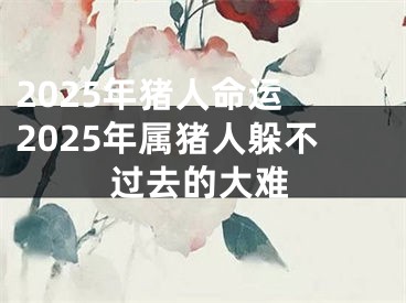 2025年猪人命运 2025年属猪人躲不过去的大难