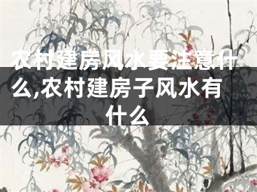 农村建房风水要注意什么,农村建房子风水有什么