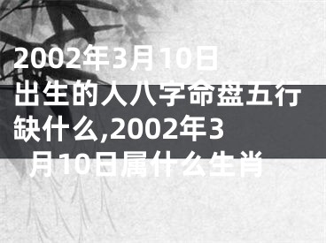 2002年3月10日出生的人八字命盘五行缺什么,2002年3月10日属什么生肖
