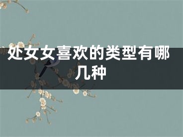 处女女喜欢的类型有哪几种