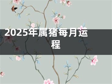 2025年属猪每月运程