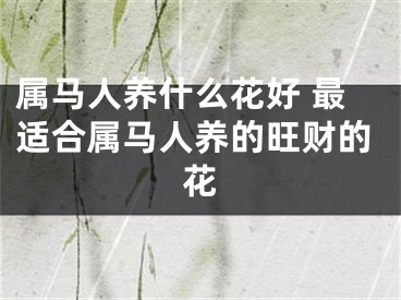 属马人养什么花好 最适合属马人养的旺财的花