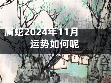 属蛇2024年11月运势如何呢