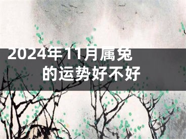 2024年11月属兔的运势好不好