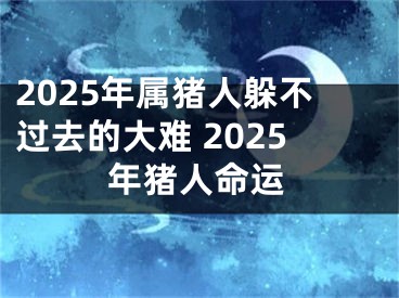 2025年属猪人躲不过去的大难 2025年猪人命运