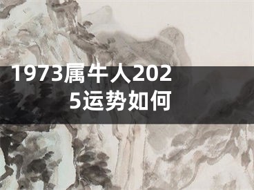 1973属牛人2025运势如何