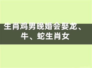 生肖鸡男晚婚会娶龙、牛、蛇生肖女