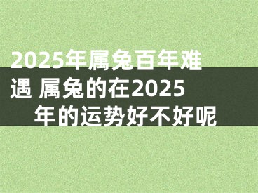 2025年属兔百年难遇 属兔的在2025年的运势好不好呢