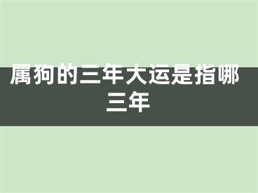 属狗的三年大运是指哪三年