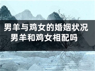 男羊与鸡女的婚姻状况 男羊和鸡女相配吗