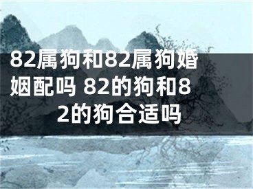 82属狗和82属狗婚姻配吗 82的狗和82的狗合适吗