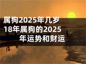 属狗2025年几岁 18年属狗的2025年运势和财运