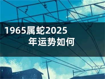 1965属蛇2025年运势如何