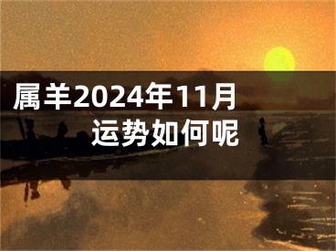 属羊2024年11月运势如何呢
