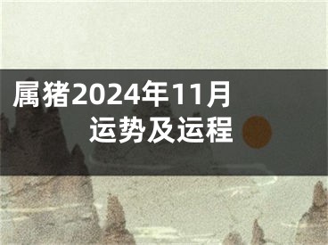 属猪2024年11月运势及运程