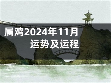 属鸡2024年11月运势及运程