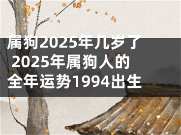 属狗2025年几岁了 2025年属狗人的全年运势1994出生
