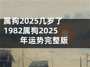属狗2025几岁了 1982属狗2025年运势完整版
