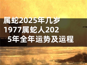 属蛇2025年几岁 1977属蛇人2025年全年运势及运程