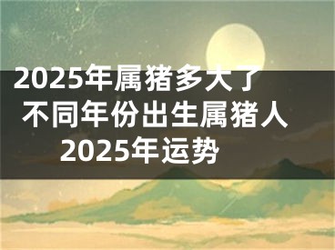 2025年属猪多大了 不同年份出生属猪人2025年运势